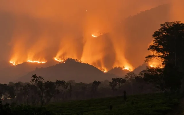 Karhutla Arjuno-Welirang Rusak 10 Km Pipa Air di Pasuruan