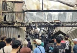 Polisi Selidiki Dugaan Pemuda Mabuk Picu Kebakaran Bogor