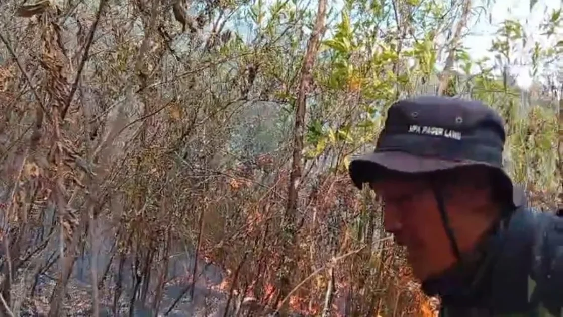Api di Gunung Lawu Meluas ke Jalur Pendakian