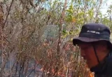 Api di Gunung Lawu Meluas ke Jalur Pendakian