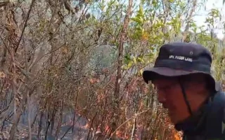 Api di Gunung Lawu Meluas ke Jalur Pendakian