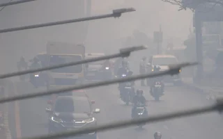 Kabut Asap Karhutla Palembang Bikin Omset Pedagang Anjlok