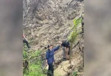 Lahan Bekas Karhutla di Dharmasraya Ditanami Sawit