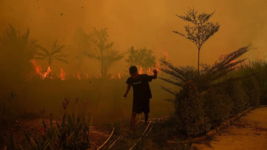 Karhutla Sumsel: 53 Perorangan dan 1 Korporasi Jadi Tersangka