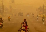IDAI Sebut Anak Terpapar Asap Karhutla Berisiko Stunting