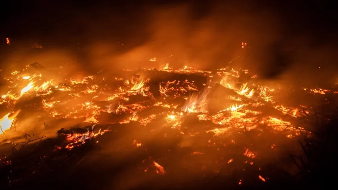 Lebih dari 3.000 Hektare Lahan di Kalimantan Terbakar