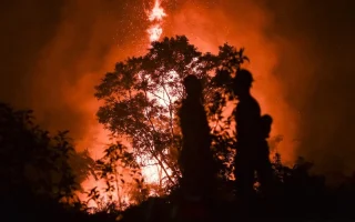 Karhutla di Taman Nasional Berbak Sembilang Jambi Meluas