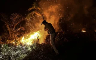 Prabowo Beri Banpres Rp125 M untuk Karhutla di Jambi