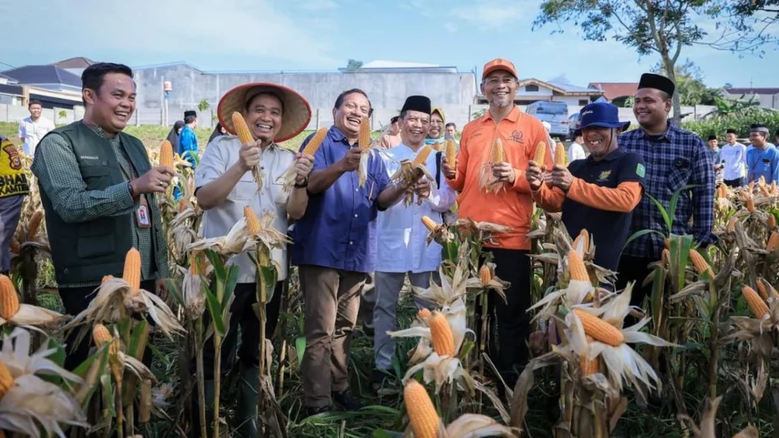 Pemkot Pekanbaru Jadikan Panen Jagung Pesantren Percontohan