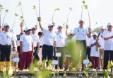 AHY dan Ahmad Luthfi Tanam Mangrove di Demak Atasi Abrasi