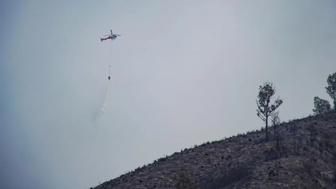 BNPB Kirim Pesawat dan Helikopter Atasi Karhutla Jatim