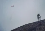 BNPB Kirim Pesawat dan Helikopter Atasi Karhutla Jatim
