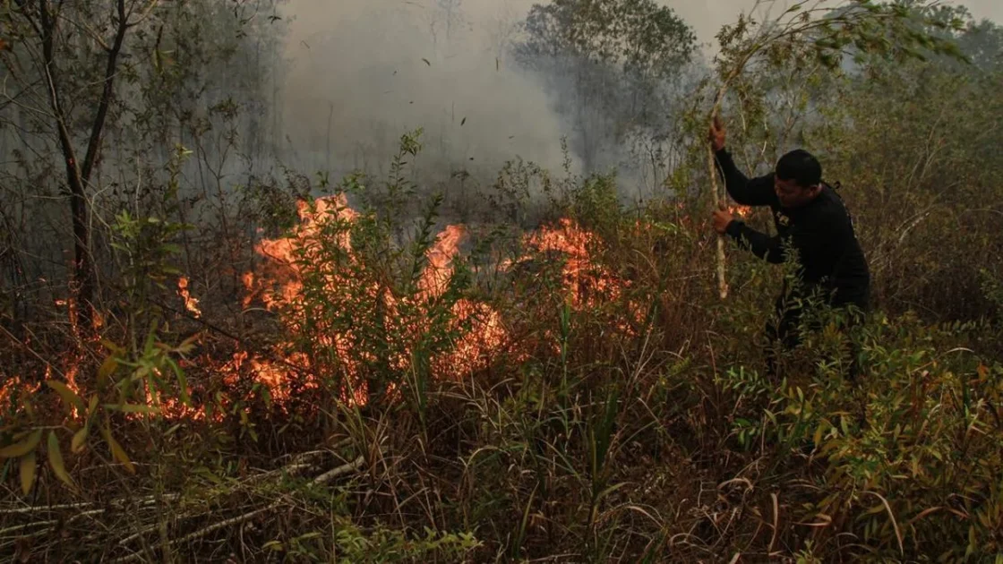 Karhutla di Kawasan Karst Pangkep Belum Padam Usai 22 Hari