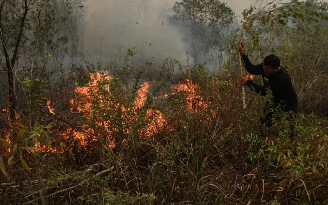 Malaysia Tawarkan Pesawat dan Helikopter Bantu Atasi Karhutla