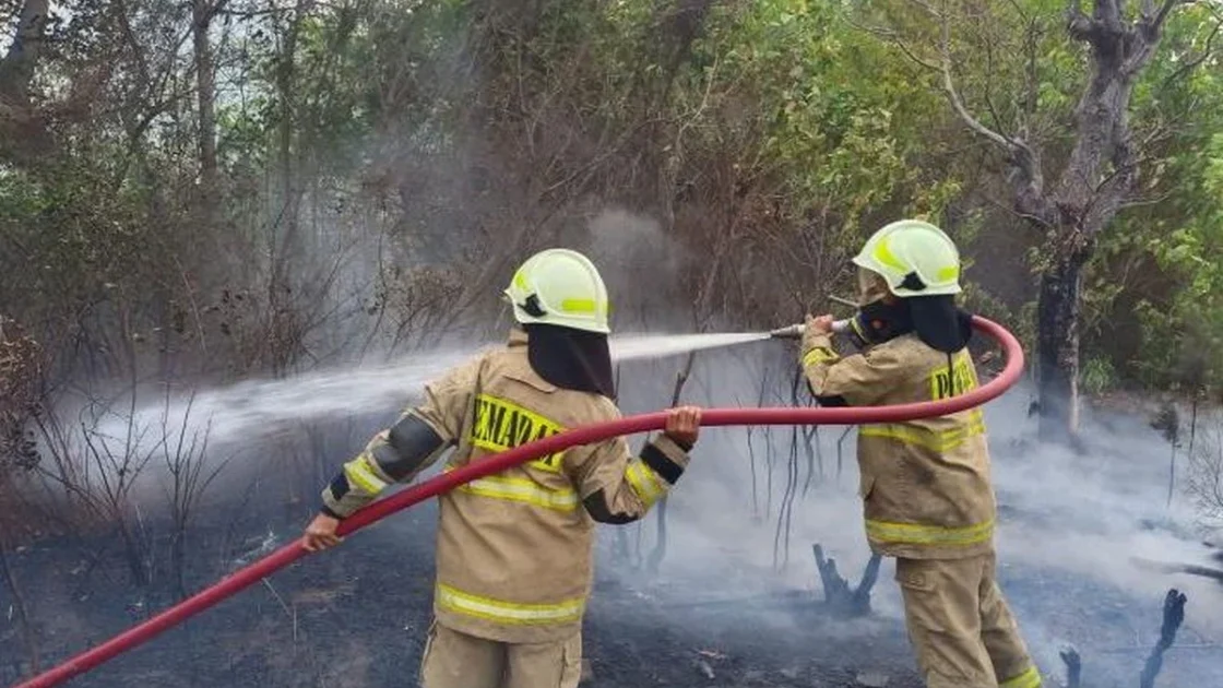 Lahan Seluas 300 Meter Persegi di Pulau Tidung Terbakar