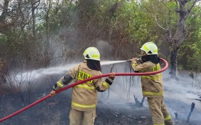 Lahan Seluas 300 Meter Persegi di Pulau Tidung Terbakar