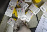 Tim Gabungan Gagalkan Penyeludupan 1 Ton Lebih Ketamin
