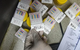 Tim Gabungan Gagalkan Penyeludupan 1 Ton Lebih Ketamin