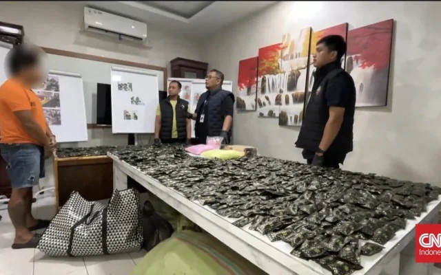 Polisi Bongkar Gudang Narkoba di Sumut, Sita Sabu dan Ekstasi