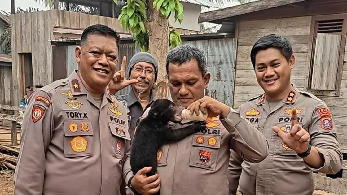 Polri Selamatkan Anak Beruang dari Karhutla Kalteng