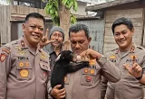 Polri Selamatkan Anak Beruang dari Karhutla Kalteng