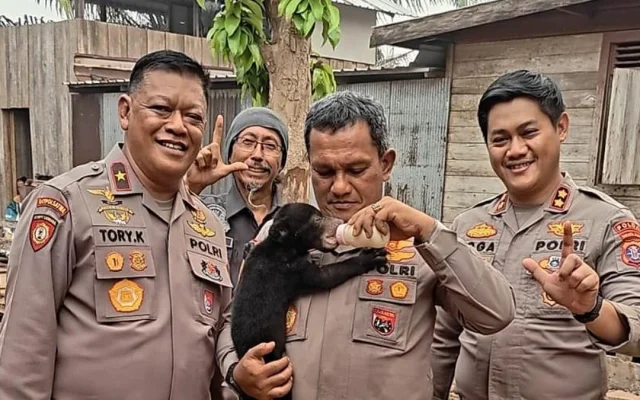 Polri Selamatkan Anak Beruang dari Karhutla Kalteng