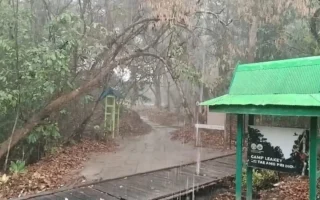 Hujan Deras Guyur 3 Titik di Taman Nasional Tanjung Puting
