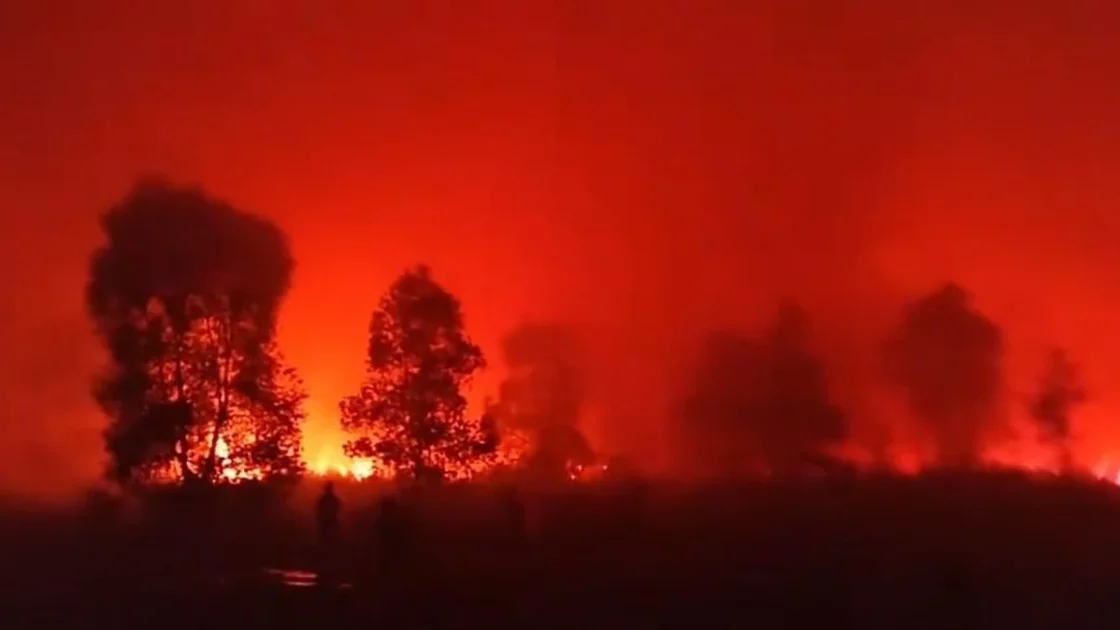 Karhutla Kepung Jalur Gajah dan Rusa Way Kambas Lampung