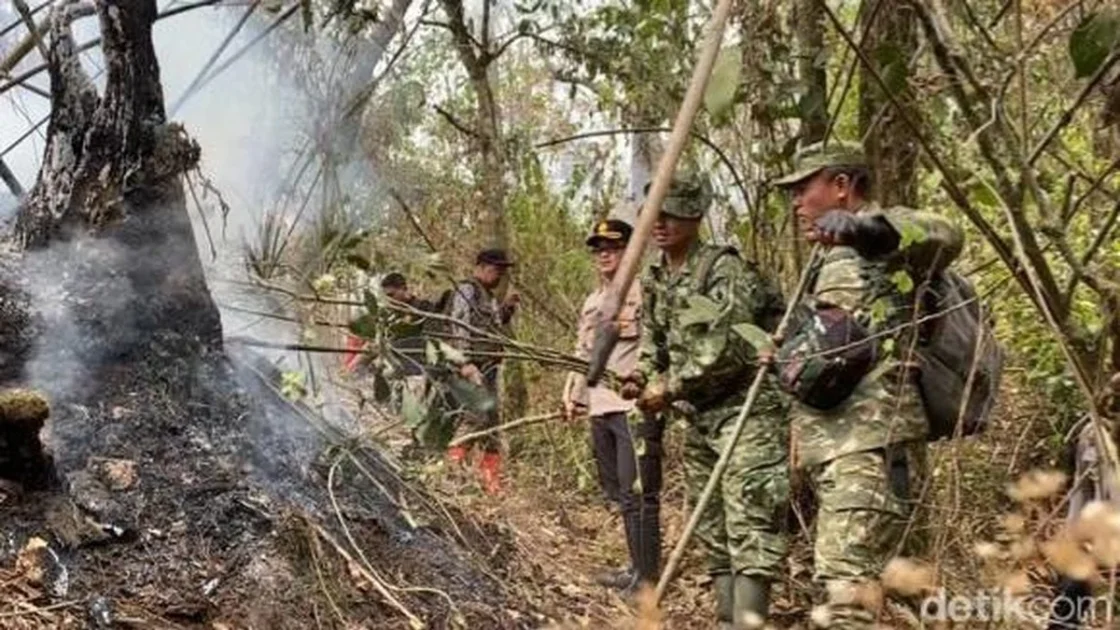Karhutla Gunung Arjuno-Welirang Padam, Polisi Selidiki Penyebabnya