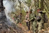 Karhutla Gunung Arjuno-Welirang Padam, Polisi Selidiki Penyebabnya
