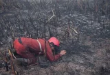 Viral Asap Keluar dari Dalam Tanah di Mamuju, BPBD Bereaksi