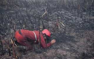 Viral Asap Keluar dari Dalam Tanah di Mamuju, BPBD Bereaksi