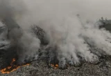 Kebakaran TPA Supit Urang Malang Lahap 15,5 Hektare Lahan