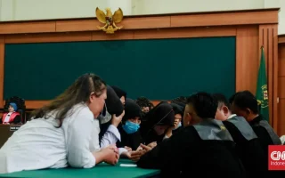 Orang Tua Korban Kecewa Vonis Pengasuh Little Aresha